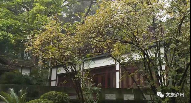 香噴噴！快來瀘州這些地方賞蠟梅(圖6)