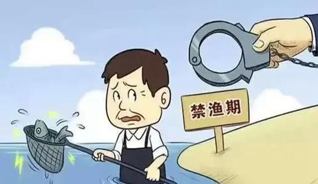 膽敢電魚，把你們處“痛”！內(nèi)江首例非法捕撈水產(chǎn)品案宣判(圖2)