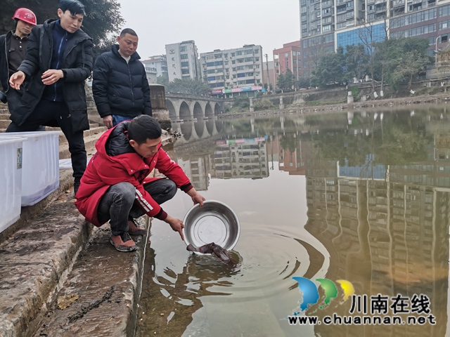 瀘縣首家娃娃魚養(yǎng)殖專業(yè)戶楊建章：養(yǎng)娃娃魚，有比賺錢更美好的事！(圖1)