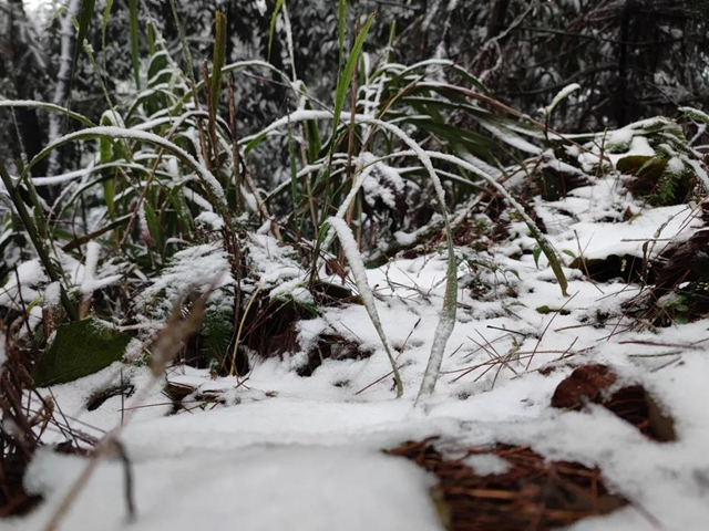 來方山，“雪”拼！(圖3)