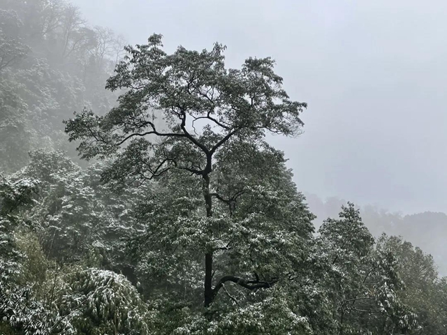 來方山，“雪”拼！(圖2)