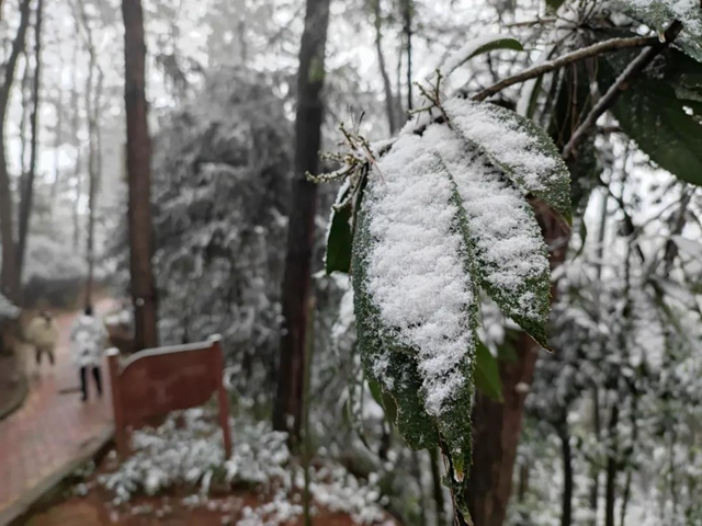 來方山，“雪”拼！(圖9)