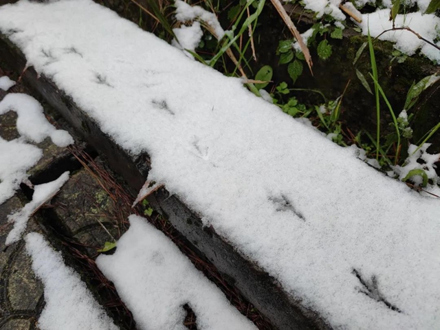 來方山，“雪”拼！(圖13)