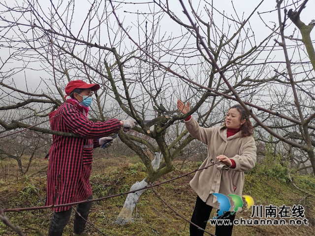 省勞動模范薛世蘭：多產(chǎn)融合、稻菜輪作實現(xiàn)糧增產(chǎn)錢增收(圖3)