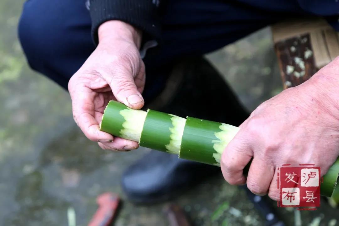 瀘州有種土樂器名叫“花號(hào)”，不知您見過沒？(圖10)