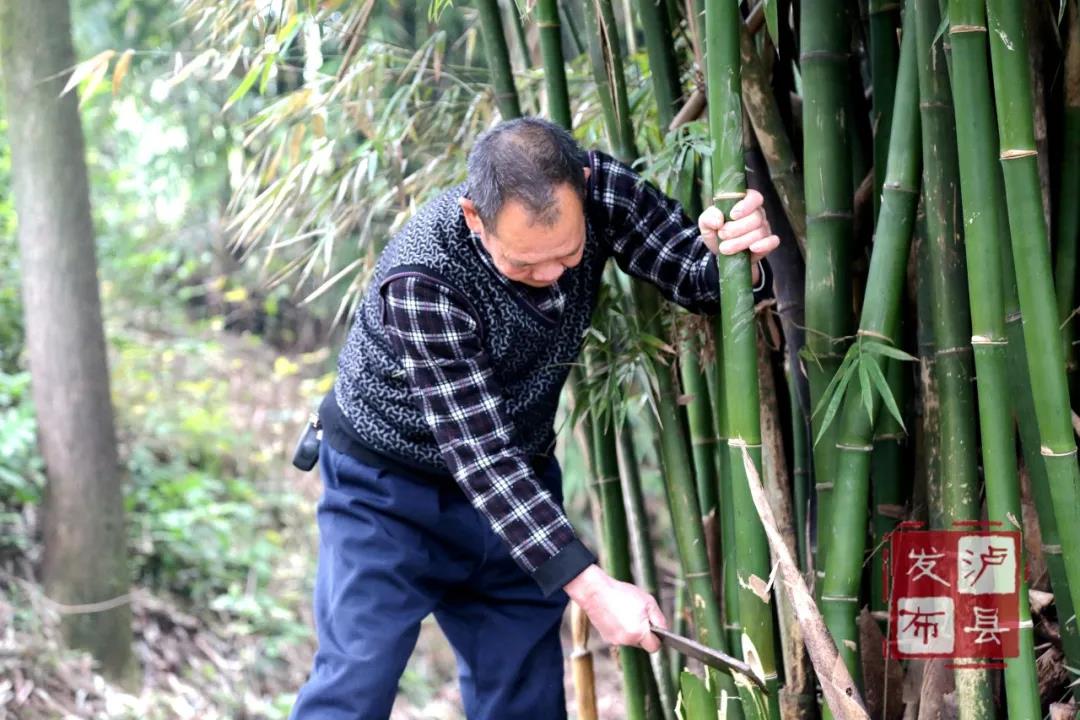 瀘州有種土樂器名叫“花號(hào)”，不知您見過沒？(圖5)