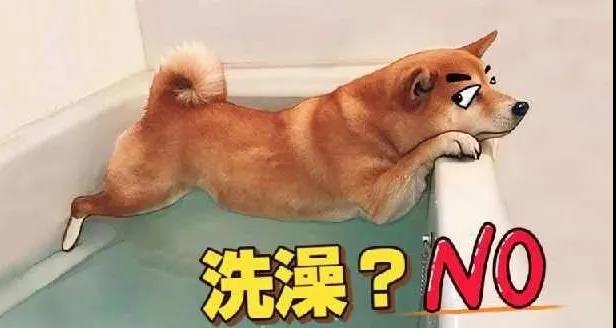 過(guò)年啦，千萬(wàn)不要這樣喝酒！(圖13)