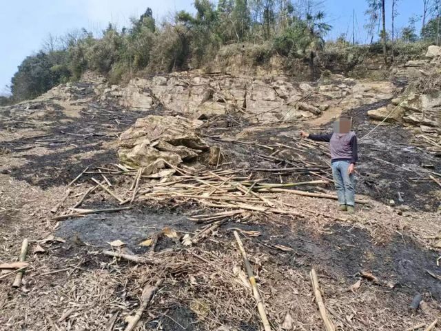 屏山又有6人被拘留！這件事情千萬重視……(圖5)