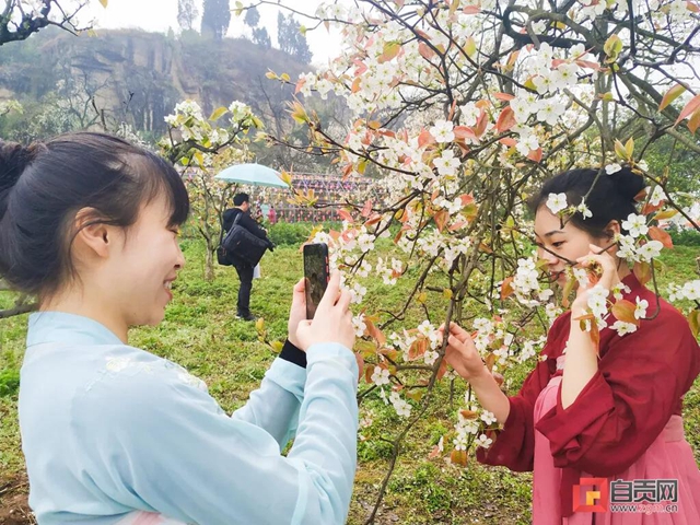 自貢三多古寨花都開了！就等你(圖4)