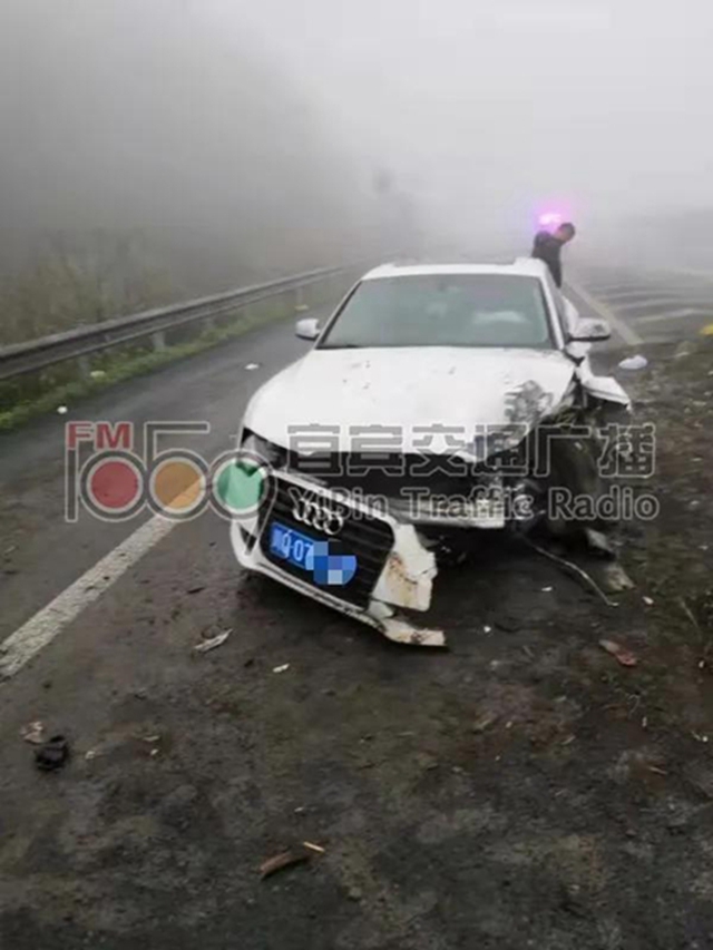 奧迪車在宜賓高速路發(fā)生車禍！司機(jī)卻不見了！警方調(diào)查后發(fā)現(xiàn)……(圖2)