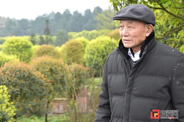 引來(lái)人民日?qǐng)?bào)關(guān)注！自貢八旬老人投資千萬(wàn)開(kāi)山造林(圖5)