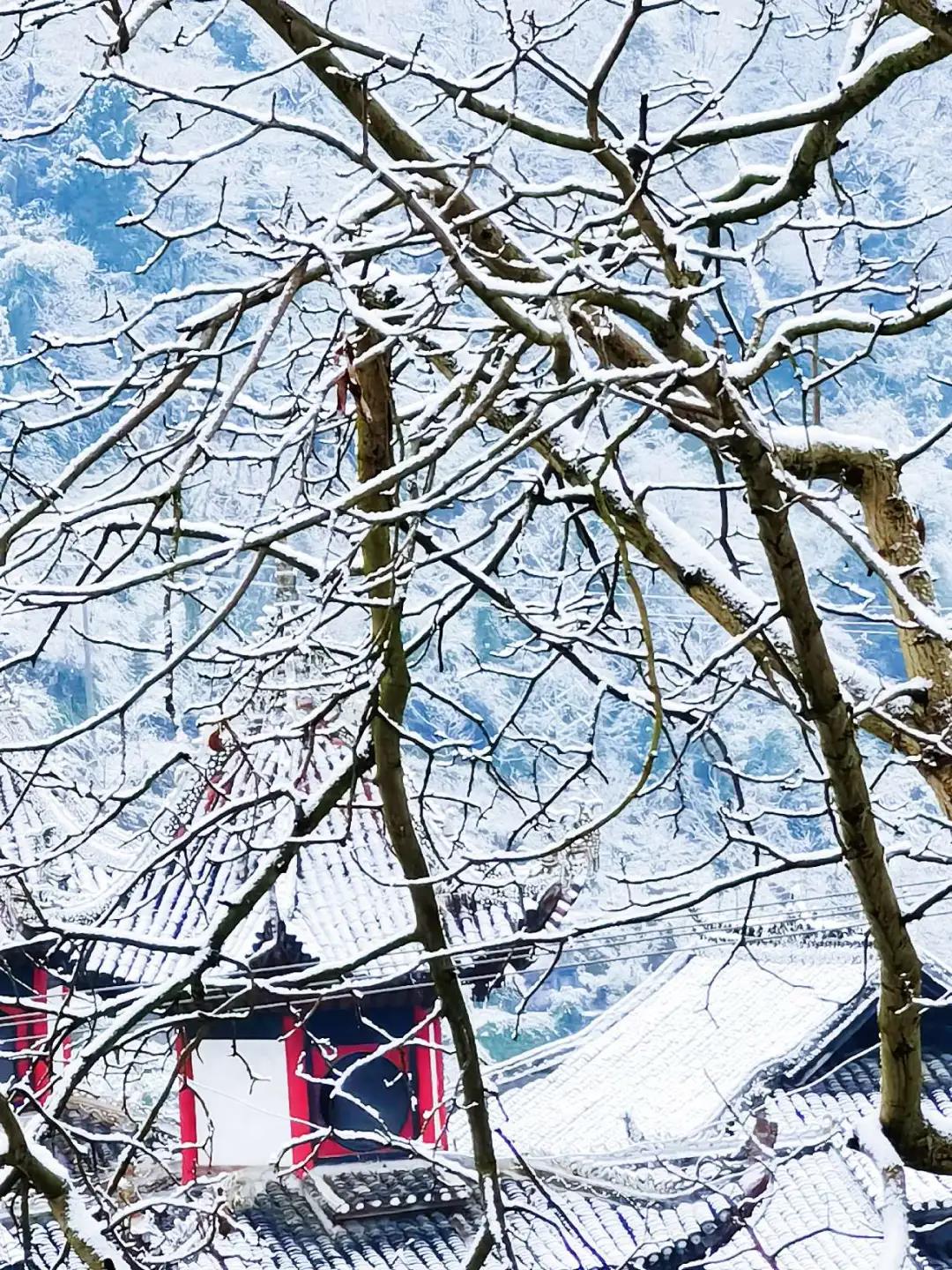 瀘州古藺網(wǎng)紅打卡地：龍山東皇廟(圖17)