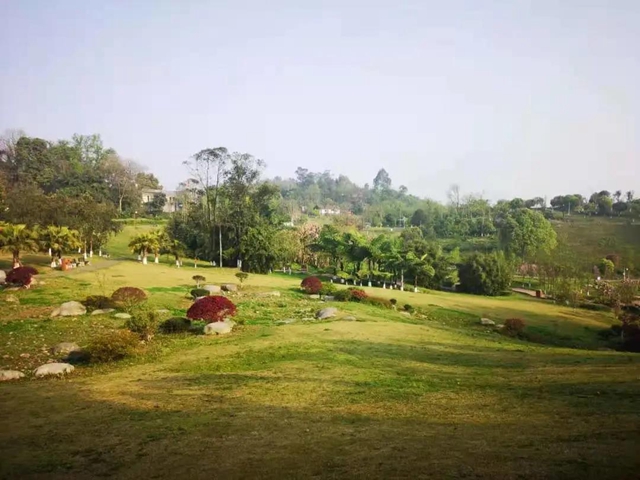 鄉(xiāng)村文化旅游丨瀘州城區(qū)這幾條鄉(xiāng)村旅游線路，你選哪個(gè)？(圖6)