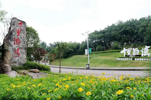 鄉(xiāng)村文化旅游丨瀘州城區(qū)這幾條鄉(xiāng)村旅游線路，你選哪個(gè)？(圖7)