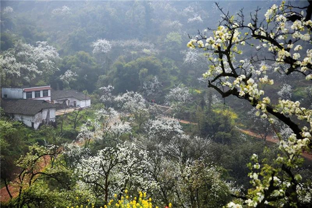 鄉(xiāng)村文化旅游丨瀘州城區(qū)這幾條鄉(xiāng)村旅游線路，你選哪個(gè)？(圖4)