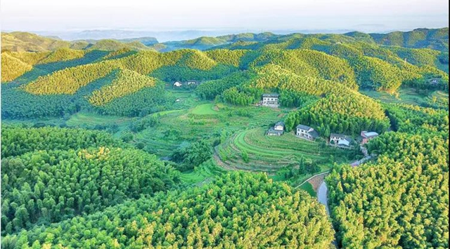 鄉(xiāng)村文化旅游丨瀘州城區(qū)這幾條鄉(xiāng)村旅游線路，你選哪個(gè)？(圖15)