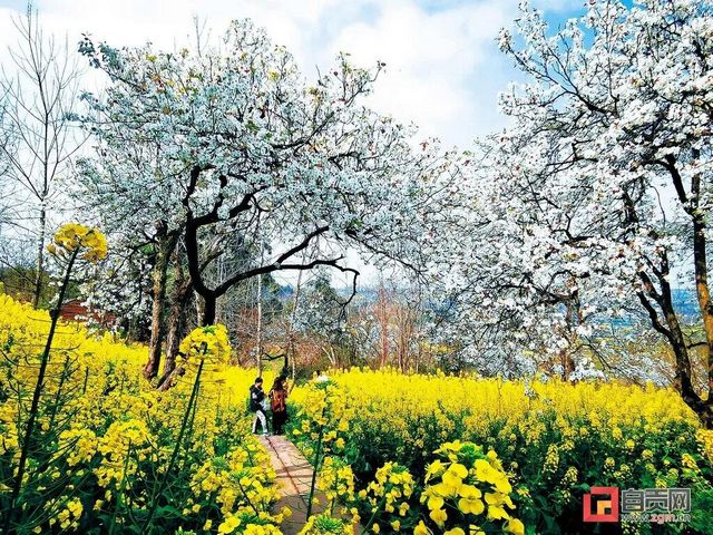 自貢這里獲批創(chuàng)建國家級示范園!(圖2)