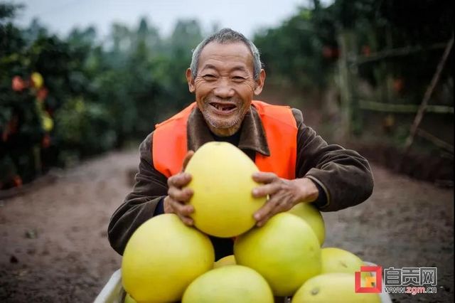 自貢這里獲批創(chuàng)建國家級示范園!(圖4)