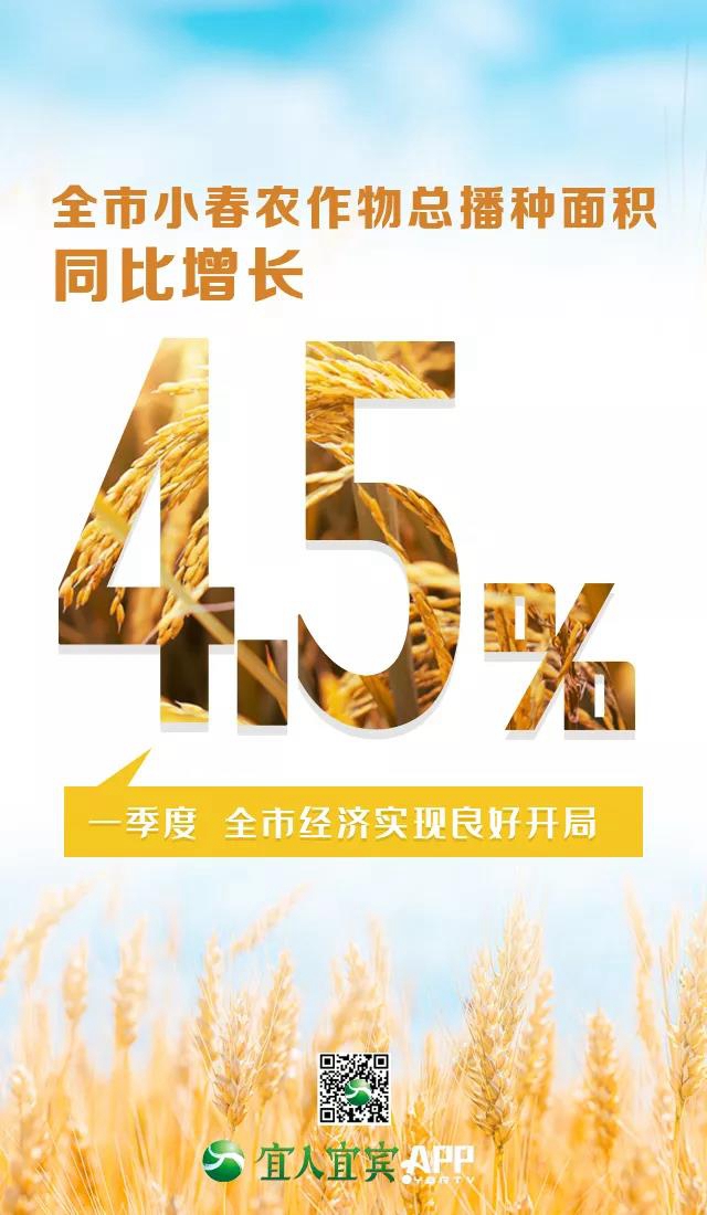 16.8%！一季度宜賓經(jīng)濟增速跑贏全省(圖3)