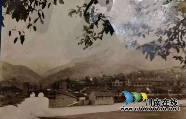 陳大剛：故鄉(xiāng)哪棵黃桷樹(shù)（小說(shuō)）(圖14)