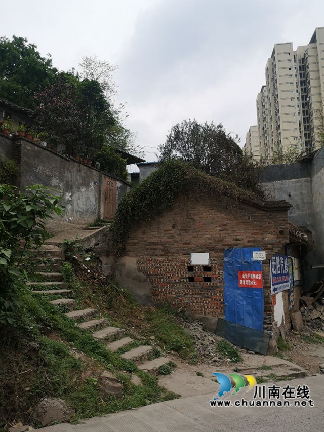 陳大剛：故鄉(xiāng)哪棵黃桷樹(shù)（小說(shuō)）(圖7)