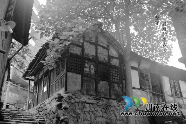 陳大剛：故鄉(xiāng)哪棵黃桷樹(shù)（小說(shuō)）(圖16)