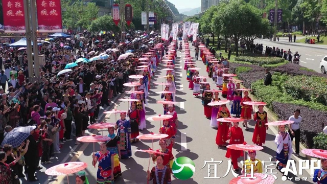 一睹為快！宜賓萬人“踩花山” 場面超震撼(圖2)