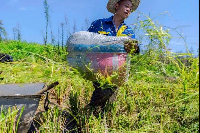 定格丨江陽(yáng)勞動(dòng)者群像掃描(圖27)