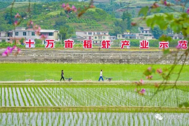 板眼多、樂翻天、雙增長...“五一”假期宜賓旅游實現(xiàn)爆發(fā)式增長！(圖14)