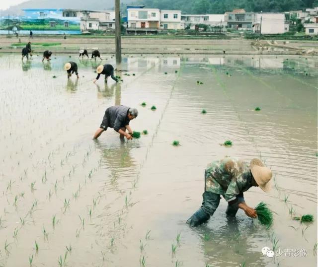 板眼多、樂翻天、雙增長...“五一”假期宜賓旅游實現(xiàn)爆發(fā)式增長！(圖15)