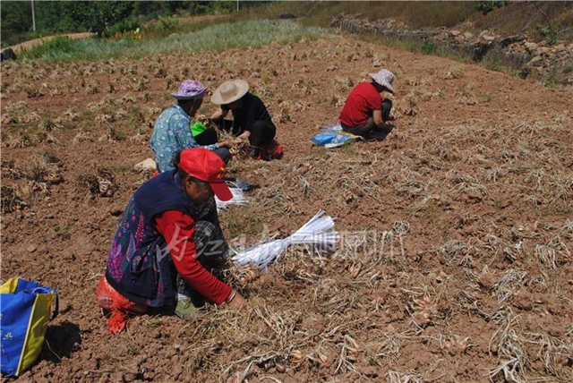 在內(nèi)江，它算哪根蔥？一“開價(jià)”就是8000多萬(圖2)