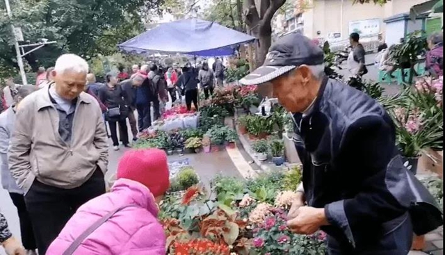 告別臟亂差！自貢這個自發(fā)花卉、寵物交易市場要“搬家”啦！(圖1)