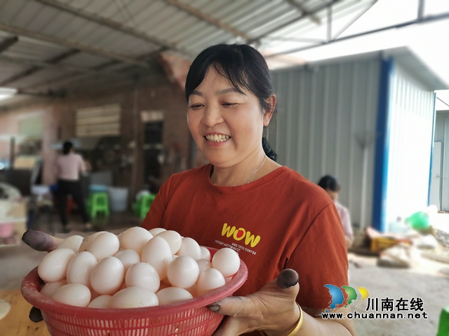 瀘縣福集鎮(zhèn)：生態(tài)養(yǎng)鴿養(yǎng)出致富新門路(圖2)