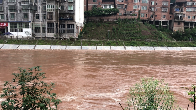 合江部分鄉(xiāng)鎮(zhèn)暴雨！先灘可看＂海＂……(圖2)