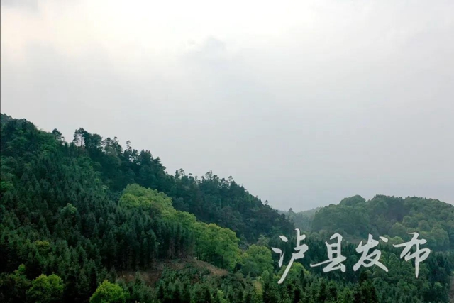 聽瀘縣老人講述，70年前這里發(fā)生的剿匪故事——(圖3)