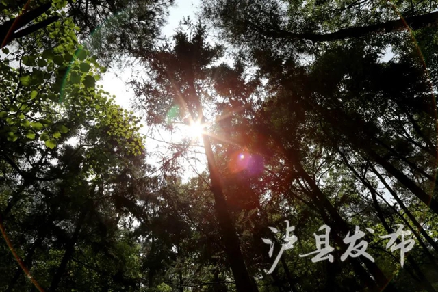 聽瀘縣老人講述，70年前這里發(fā)生的剿匪故事——(圖6)
