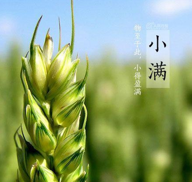 【提醒】今日起，千萬(wàn)別吃這三類(lèi)食物(圖2)