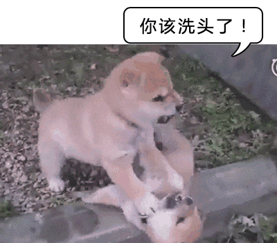 【分享】原來洗澡是有正確順序的，先洗頭還是先洗臉？(圖5)