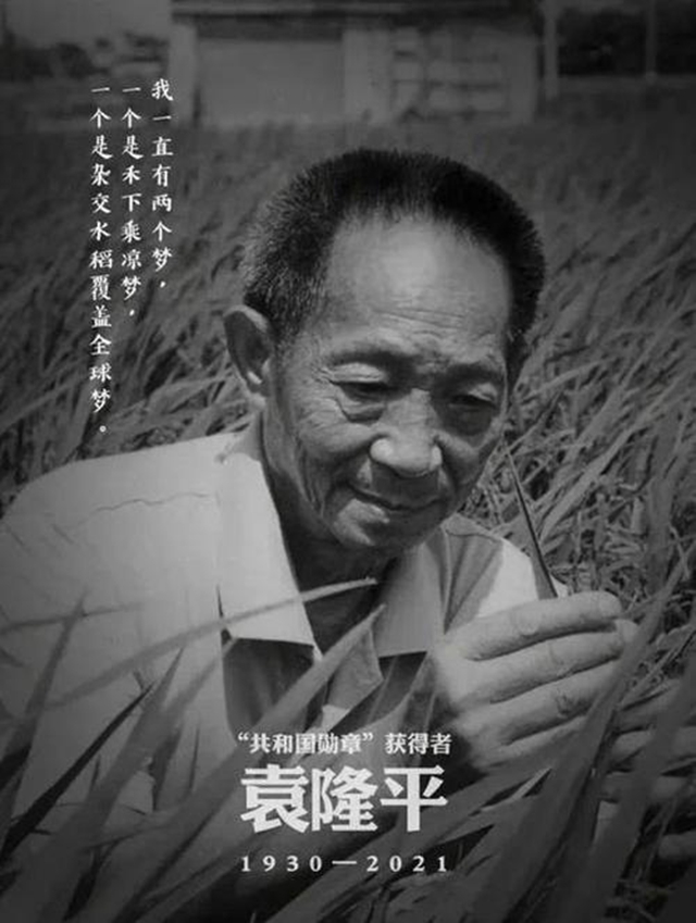 瀘縣作家寫稿悼念袁隆平院士