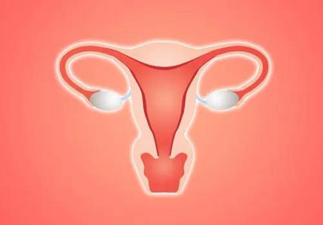 【擴散】女性朋友們，身體出現(xiàn)這些變化要小心？(圖2)