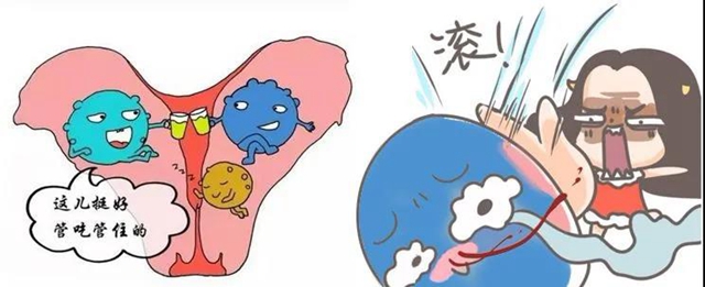 【擴散】女性朋友們，身體出現(xiàn)這些變化要小心？(圖4)