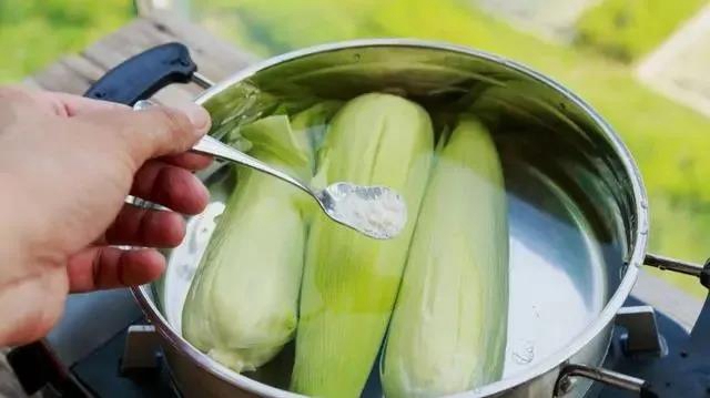 【實(shí)用】煮玉米只加水是外行！多放2種料，又甜又糯！(圖5)