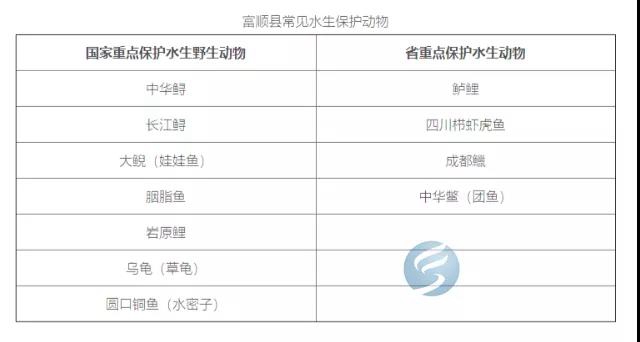 注意！富順天然水域垂釣出新規(guī)，這些一定要注意！(圖4)