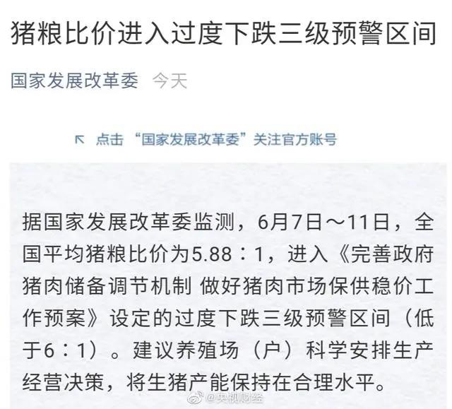 國家發(fā)改委發(fā)出生豬價格有關預警，意味著什么？(圖1)