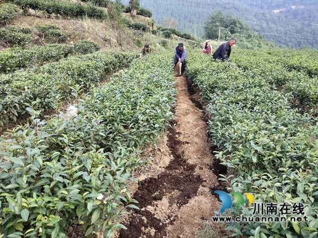 古藺：生態(tài)環(huán)境保護(hù)忙，苗鄉(xiāng)處處氣象新(圖18)