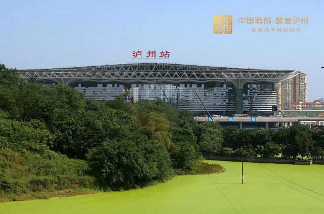 【擴(kuò)散】近50人從成都坐高鐵到瀘州啦！坐高鐵會暈車嗎？(圖9)