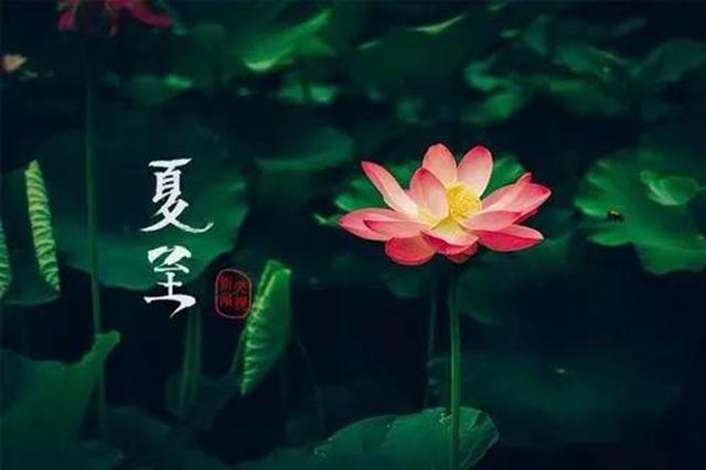 【夏至】今天開始，多吃“苦味”食物！(圖7)
