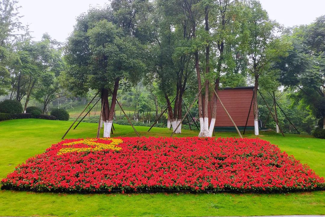 紅船亮相、鮮花裝飾……瀘州忠山公園、百子圖、大梯步“七一”氛圍濃(圖3)