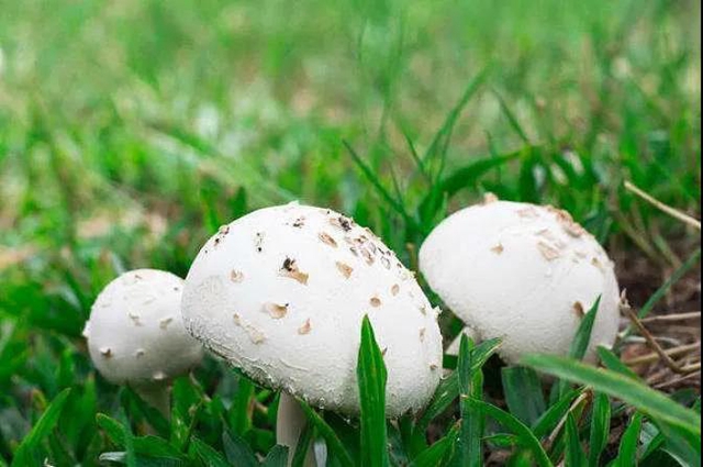 【擴(kuò)散】最強(qiáng)降雨來襲！好多人都遭了？(圖8)