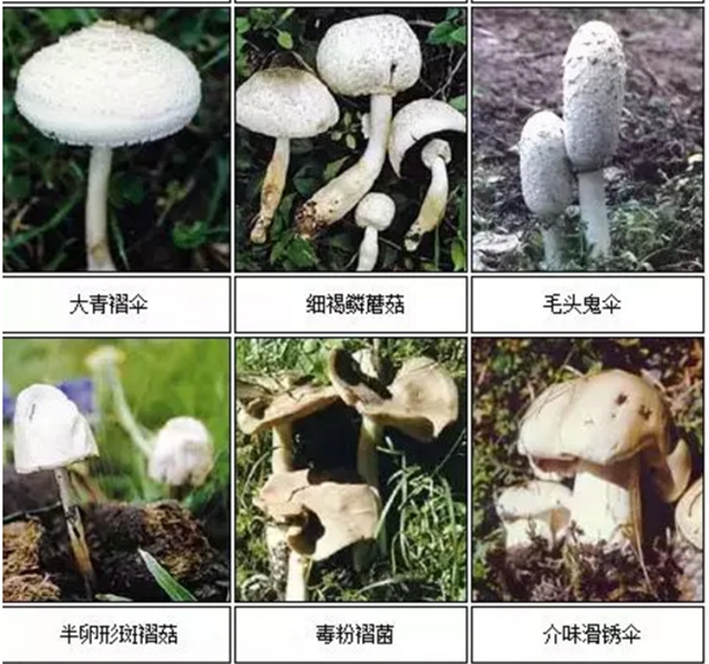 【擴(kuò)散】最強(qiáng)降雨來襲！好多人都遭了？(圖14)
